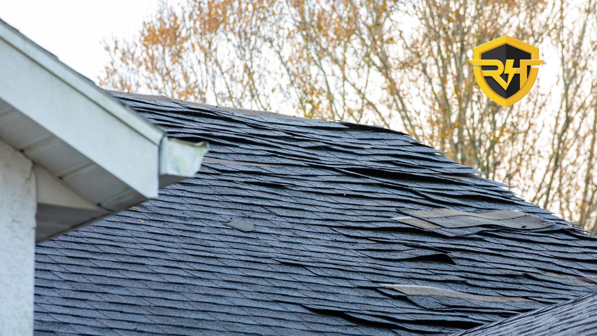 How to Fix Loose Shingles in Florida (StepbyStep Guide)